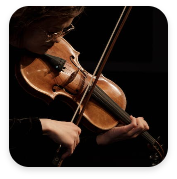Violin