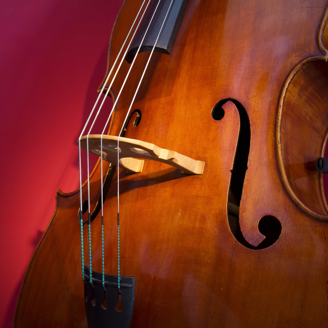 Double Bass